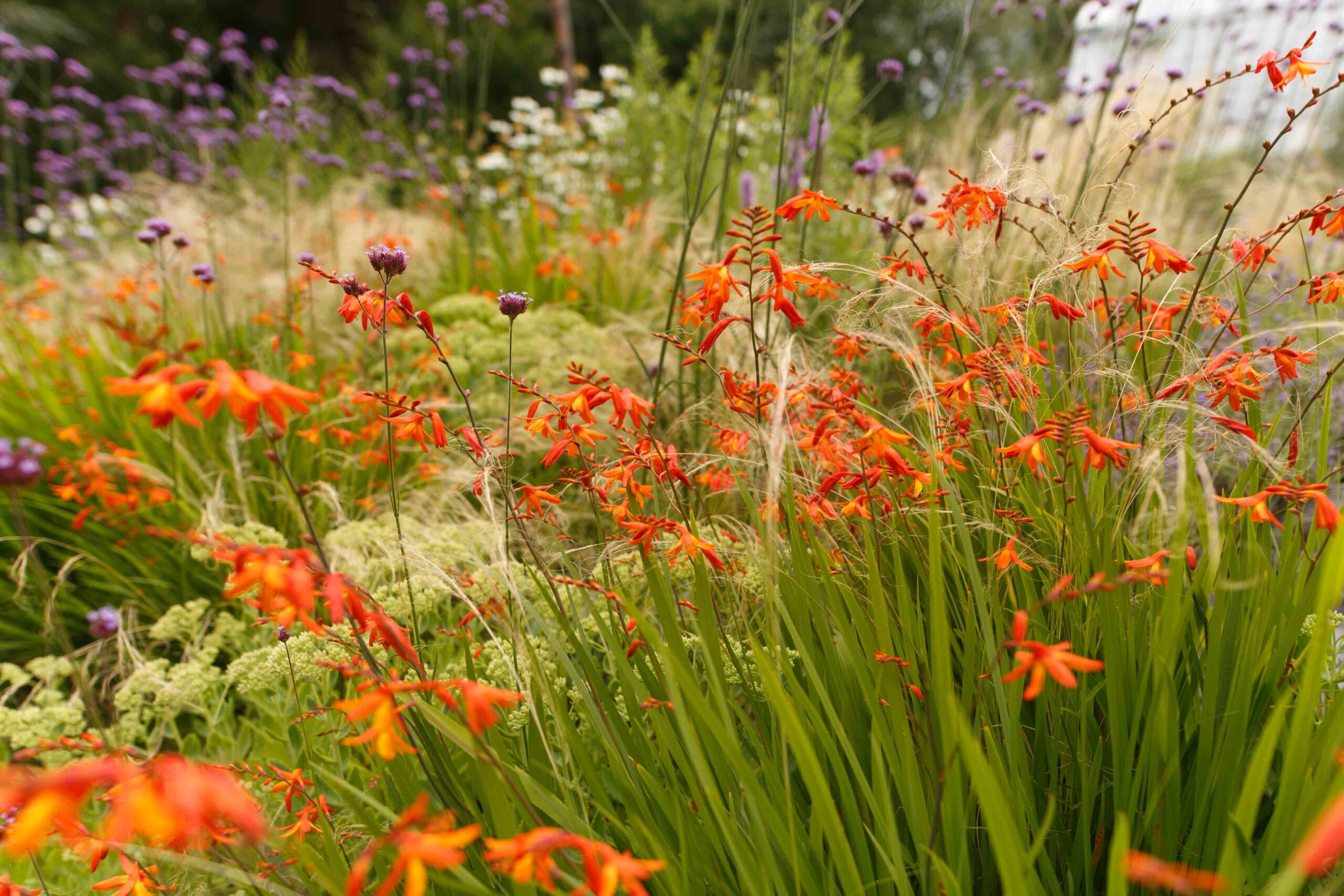 Botanischer Garten in Bochum